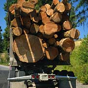a truck reversing
